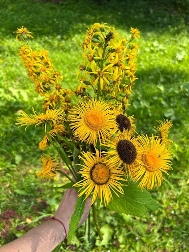 yellow_flowers