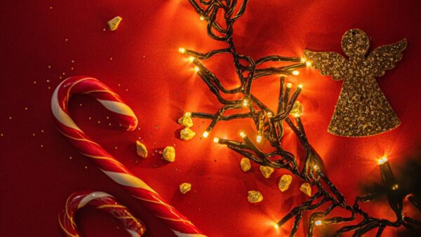 photo_5_2025-10-09_17-45-39